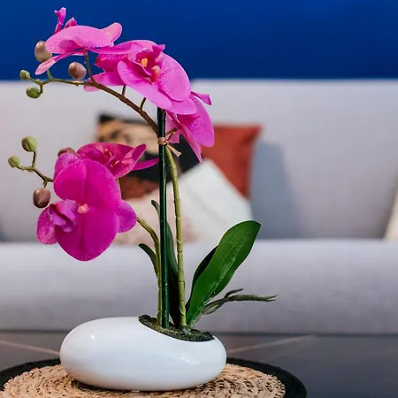 Paris Porte De Versailles - Issyhost Appartement *